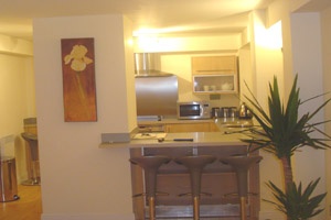 contemporary style living in this self catering apartment