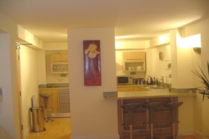 kitchen equipped for short or long term let in city